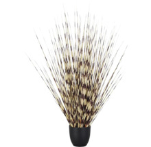 Decoratieve stekelvarkensborstels in een kleine zwarte pot voor interieurdecoratie.