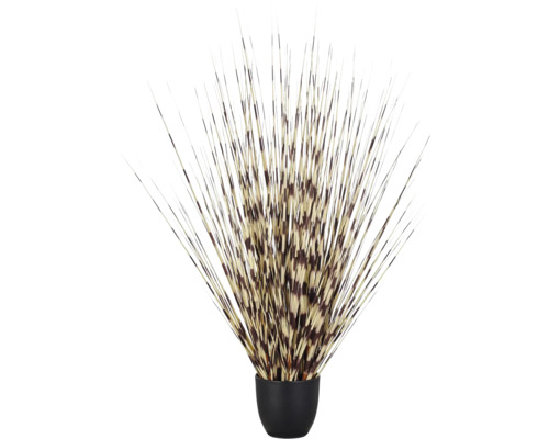 Decoratieve stekelvarkensborstels in een kleine zwarte pot voor interieurdecoratie.