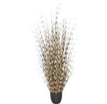Decoratieve bundel met stekelvarken stekels in een eenvoudige ronde pot als natuurlijke interieurdecoratie