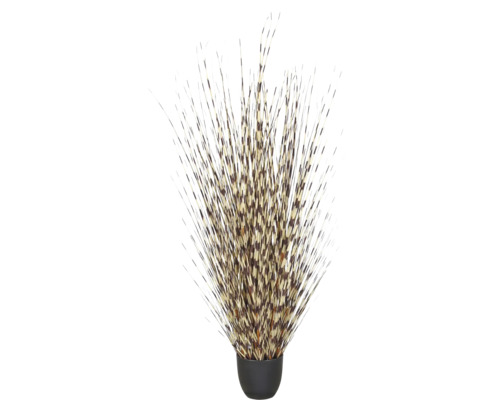 Decoratieve bundel met stekelvarken stekels in een eenvoudige ronde pot als natuurlijke interieurdecoratie