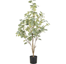 Kunstmatige eucalyptusplant in zwarte kunststof pot met ronde bladeren en vertakte stam.