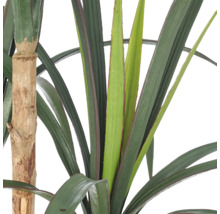 Kunstmatige Dracaena plant met gestructureerde stam en lange, puntige bladeren.