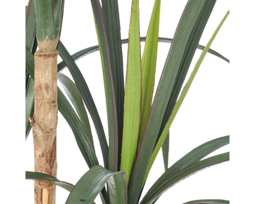 Kunstmatige Dracaena plant met gestructureerde stam en lange, puntige bladeren.