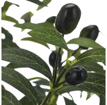 Kunstmatige olijftak met groene bladeren en zwarte olijven.