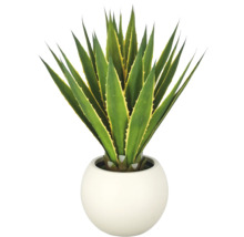 Kunstagave in witte, ronde pot met puntige bladeren en gele randen.