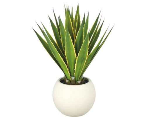 Kunstagave in witte, ronde pot met puntige bladeren en gele randen.