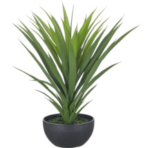Kunstplant Yucca in een ronde, donkergrijze decoratieve pot met een gestructureerd oppervlak.