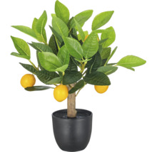 Kunstcitroenboom met gele vruchten en groene bladeren in een zwarte pot.