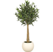 Kunstmatige olijfboom in een ronde witte pot met natuurgetrouwe stam en dichte bladeren.