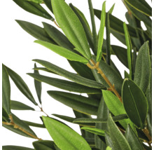 Detailopname van een kunstmatige olijftak met groene, langwerpige bladeren en bruine kunststof stengels.