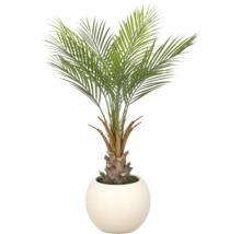 Kunstpalm met getextureerde stam in een ronde witte pot.