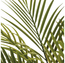 Detailopname van kunstmatige palmbladeren van kunststof voor decoratie.