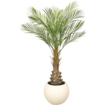 Kunstpalm in een ronde witte pot.