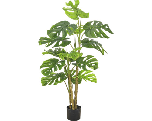 Kunstmatige Monstera plant met grote groene bladeren en twee stammen in een zwarte pot, binnendecoratie.