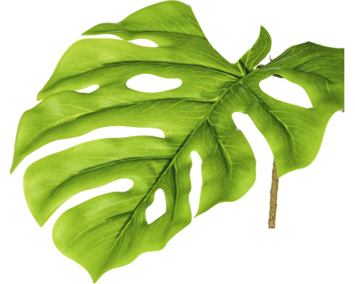 Kunstmatig Monstera-blad met karakteristieke gaten en inkepingen aan een steel.