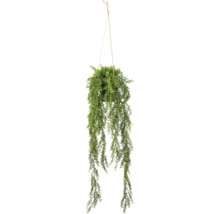 Kunsthangplant in een zwarte pot met een naturelkleurig koord om op te hangen.
