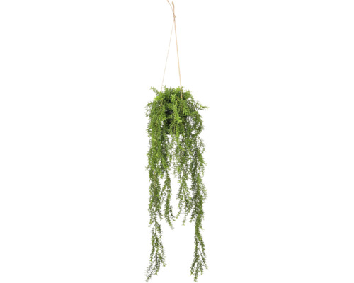 Kunsthangplant in een zwarte pot met een naturelkleurig koord om op te hangen.