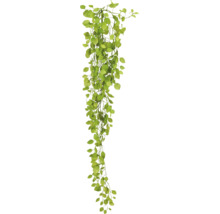 Kunsthangplant met kleine ronde bladeren aan lange ranken voor binnendecoratie.
