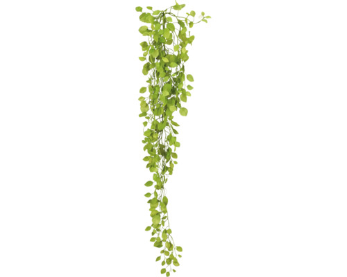 Kunsthangplant met kleine ronde bladeren aan lange ranken voor binnendecoratie.