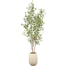 Kunstplant Ficus Benjamina met bonte bladeren in een lichte overpot.