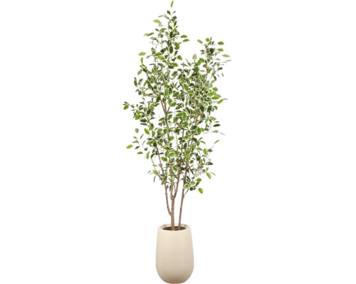 Kunstplant Ficus Benjamina met bonte bladeren in een lichte overpot.