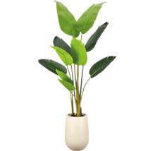 Kunstplant Strelitzia in crèmekleurige pot met grote groene bladeren.