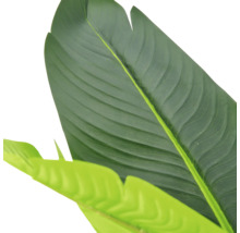 Detailopname van groene kunstbladeren van een Strelitzia of bananenplant.