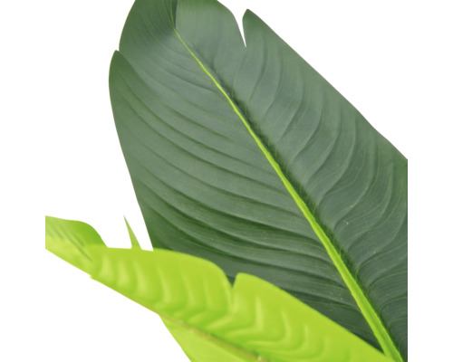 Detailopname van groene kunstbladeren van een Strelitzia of bananenplant.