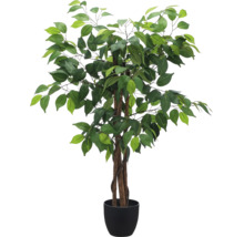 Kunstficus met gevlochten stam van echt hout in een zwarte kunststof pot.