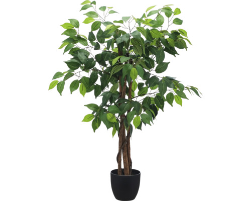 Kunstficus met gevlochten stam van echt hout in een zwarte kunststof pot.
