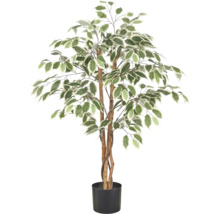 Kunstmatige Ficus Benjamina met groen-witte bladeren in een zwarte pot.