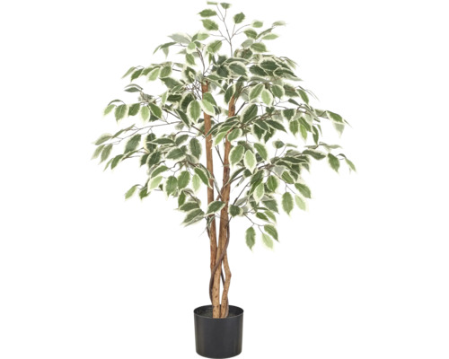Kunstmatige Ficus Benjamina met groen-witte bladeren in een zwarte pot.