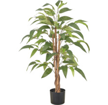 Kunstplant Ficus Alii met natuurlijke stammen in zwarte kunststof pot.