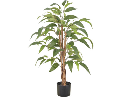 Kunstplant Ficus Alii met natuurlijke stammen in zwarte kunststof pot.