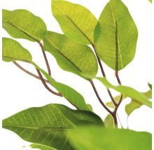 Detailopname van kunstmatige groene bladeren aan bruine takken van een kunstplant.