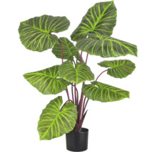 Kunstplant Alocasia met grote, generfde bladeren in zwarte pot.