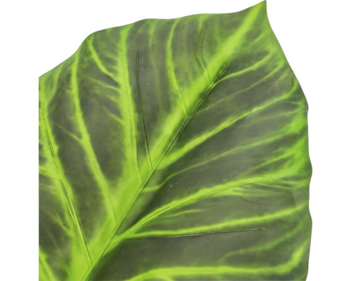 Detailweergave van een groen blad met lichte nerven en een opvallend patroon.