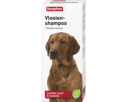 Beaphar vlooienshampoo voor honden vanaf 6 maanden, doodt vlooien en is tot 2 weken werkzaam.