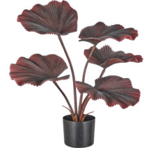 Kunstmatige Licuala-palm met donkerrode, waaiervormige bladeren in een zwarte pot.