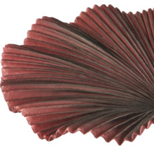 Detailopname van een decoratief waaiervormig element met een geplooid oppervlak en stralende ribbels.