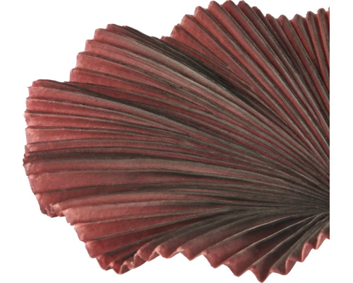 Detailopname van een decoratief waaiervormig element met een geplooid oppervlak en stralende ribbels.