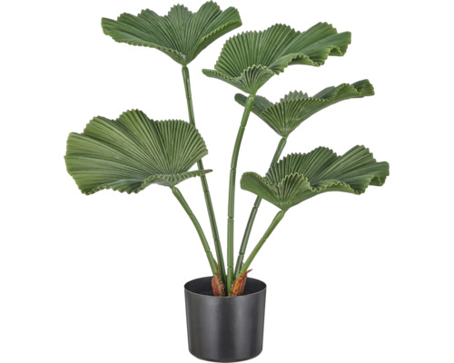 Kunstplant Licuala palm met waaiervormige bladeren in een zwarte pot.