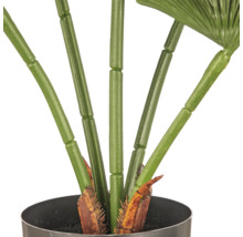 Detailopname van een kunstplant met groene, gesegmenteerde stelen in een zwarte pot.