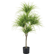 Kunstmatige drakenboom in zwarte kunststof pot met dichte, smalle groene bladeren.