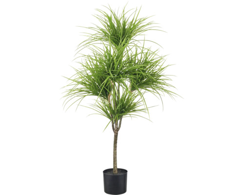 Kunstmatige drakenboom in zwarte kunststof pot met dichte, smalle groene bladeren.