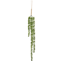 Kunstmatige hangplant in succulent-look met een ophanging van jute touw.