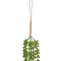 Kunsthangplant met groene succulentenblaadjes en een ophanglus van jute.