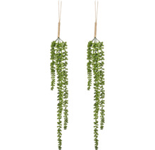 Twee groene kunsthangplanten vetplanten met ronde bladeren en ophanging van juten touw.