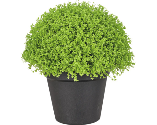 Kunstplant in een zwarte pot, met dicht groen gebladerte in bolvorm, decoratieve kunstplant.