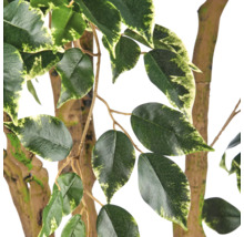 Detail van een kunstmatige Ficus Benjamina met bontgekleurde bladeren en realistisch ogende stammen.